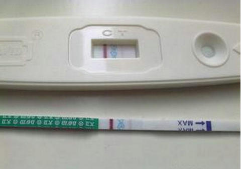 女同伴侣借卵代怀生殖中心
